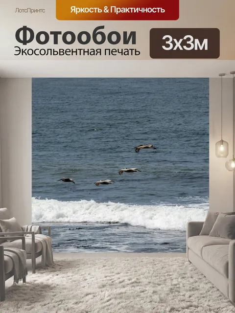 Фотообои Пеликан