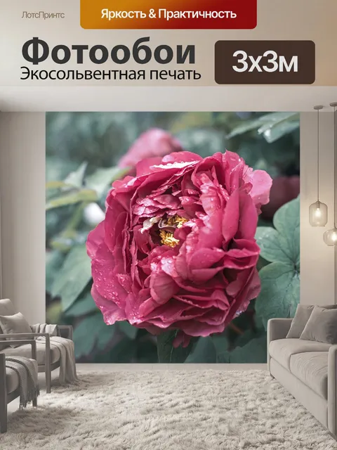Фотообои Цветок
