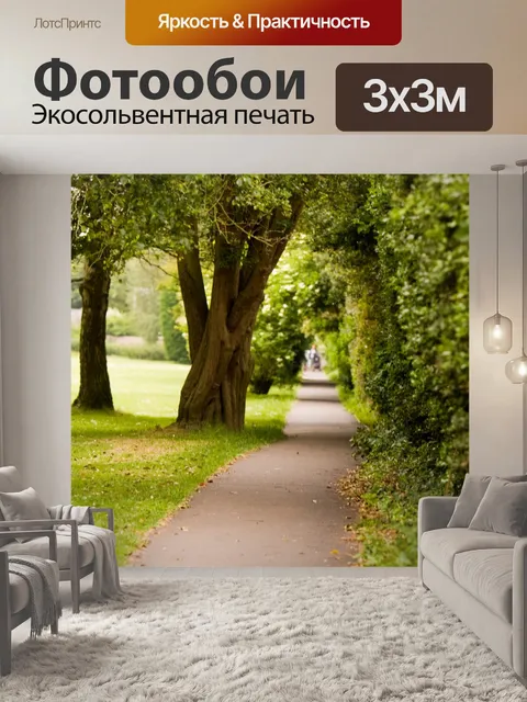 Фотообои Путь линии деревьев