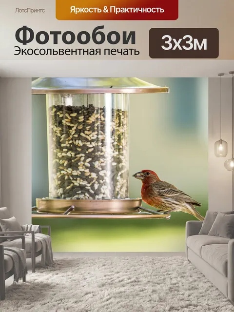 Фотообои Дом финч
