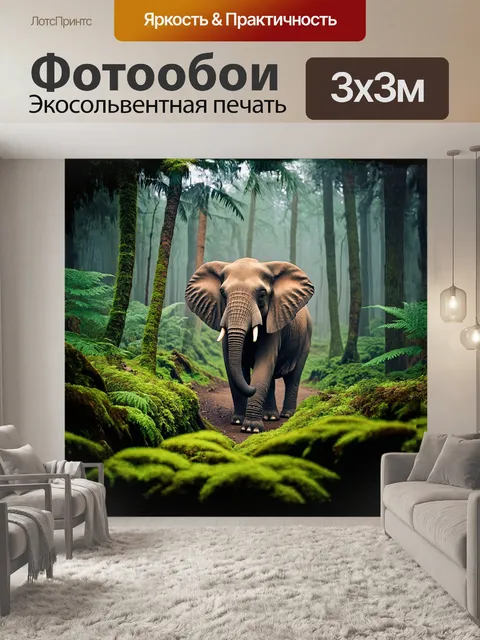 Фотообои слон в туманном лесу
