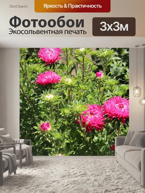 Фотообои Астра