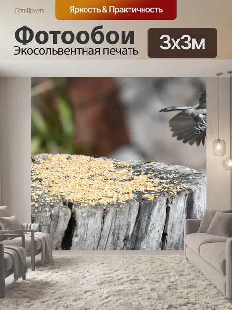 Фотообои Птица
