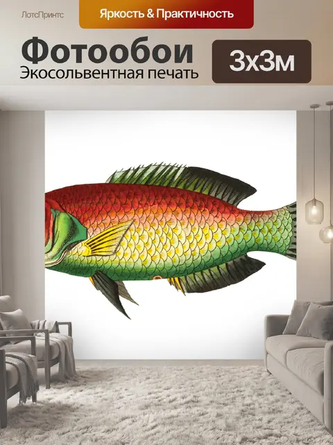 Фотообои Рыба тропических старинных искусства