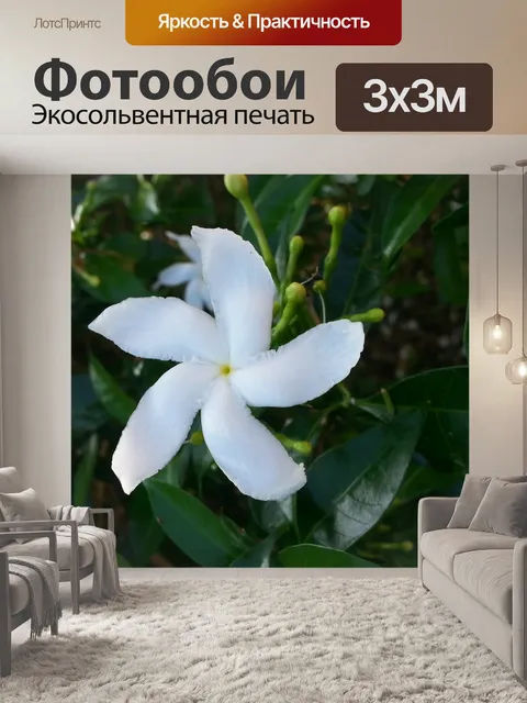 Фотообои Белый цветок в кустарнике