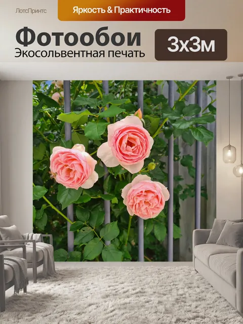 Фотообои Розовые розы с пчелой