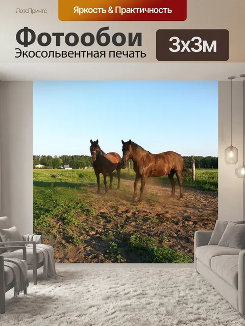 Фотообои Две лошади