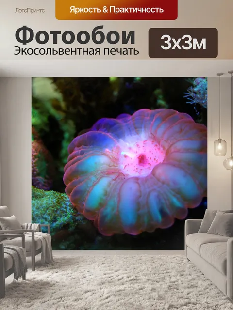 Фотообои Коралл