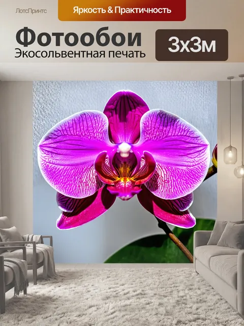 Фотообои орхидея, обрамленная прозрачной тканью для создания нежного эффекта