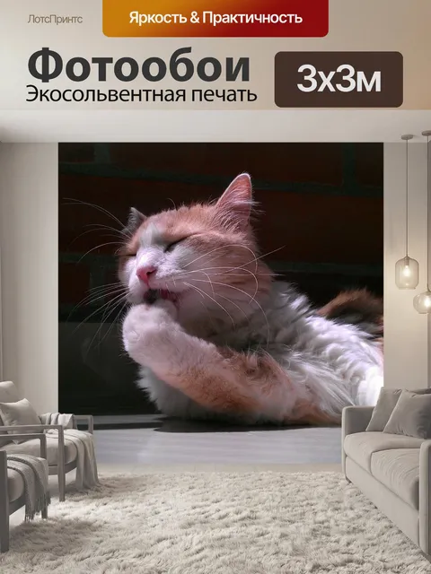 Фотообои Симпатичные кошки