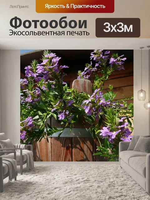 Фотообои фиолетовые цветы