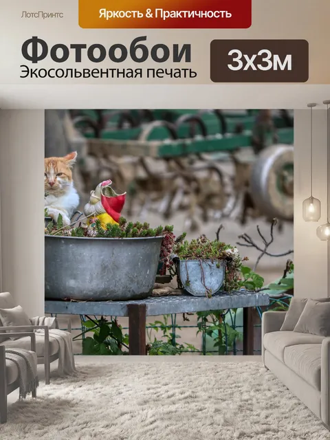 Фотообои Кот