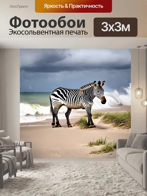 Фотообои зебра исследует загадочные морские пески на побережье