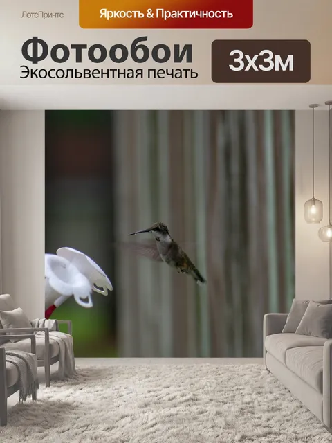 Фотообои Птица
