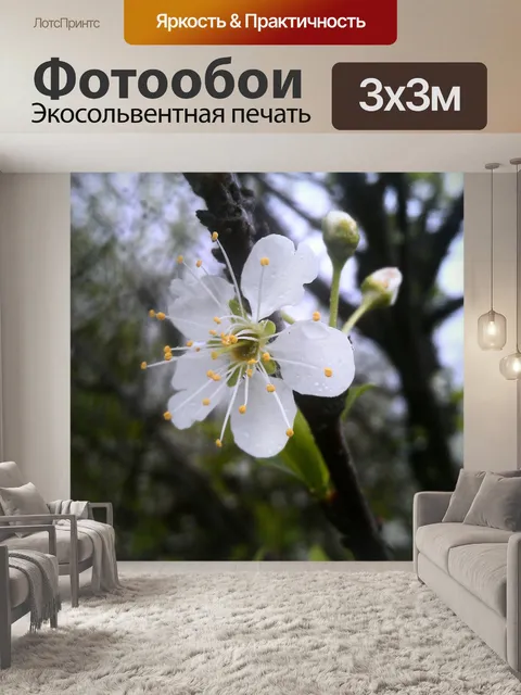 Фотообои Цветение мартовского персика
