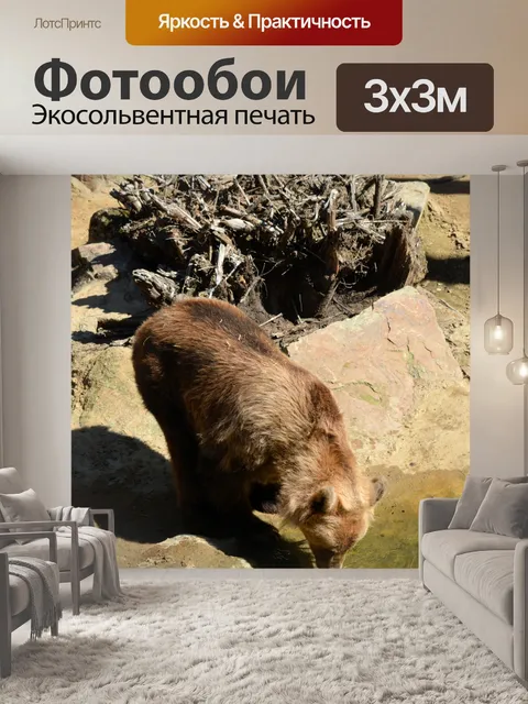 Фотообои Бурый медведь