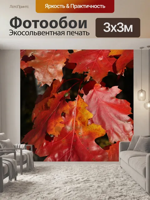 Фотообои Дубовые листья