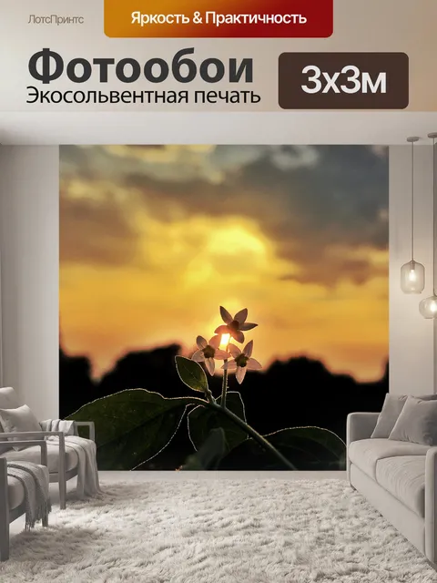 Фотообои Цветы
