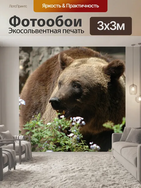 Фотообои Медведь