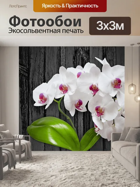 Фотообои Цветок