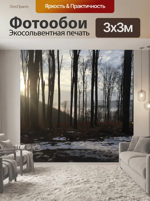 Фотообои Лес