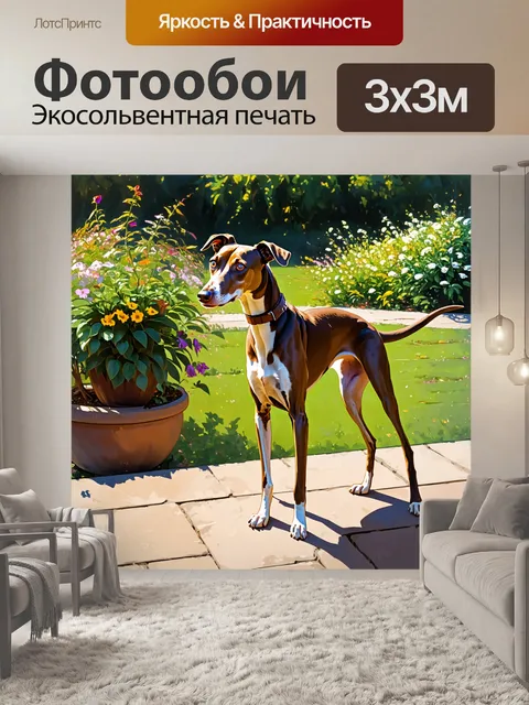 Фотообои борзая, которая наслаждается днем на террасе с видом на сад, где цветут редкие растения и цветы…