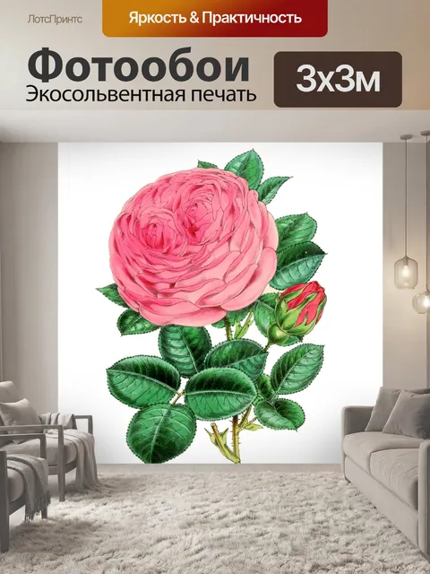 Фотообои Винтаж цветок розы цветок