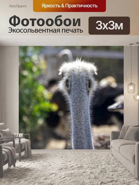 Фотообои Страус