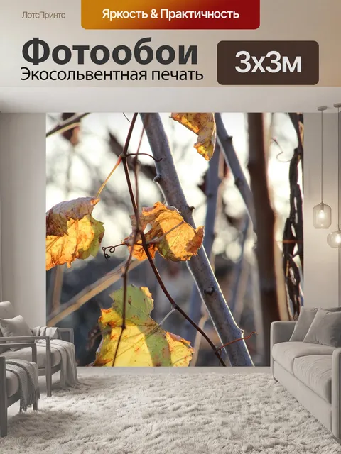 Фотообои Листья