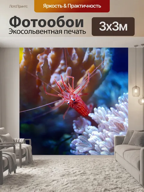 Фотообои Коралл