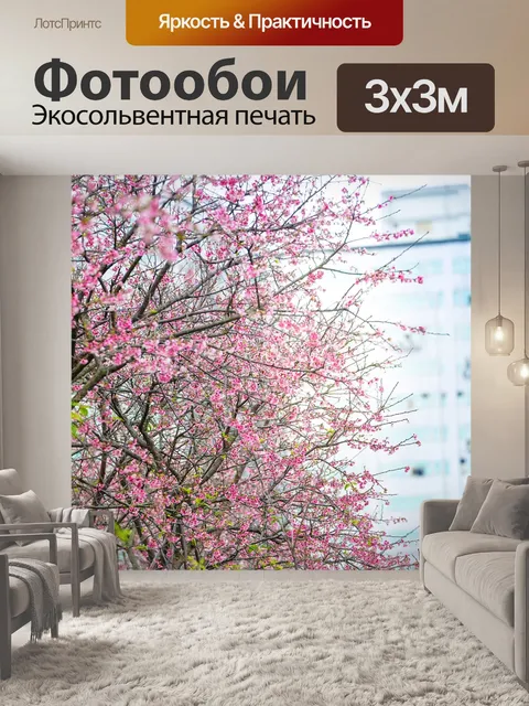 Фотообои Сакура