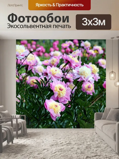 Фотообои Пионы
