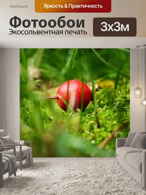 Фотообои Природа