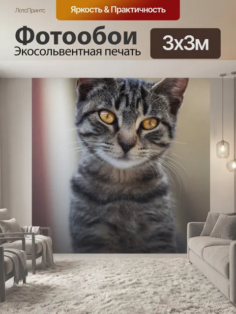 Фотообои Кошка