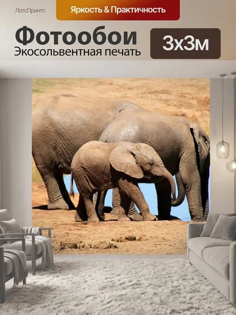 Фотообои Слоны
