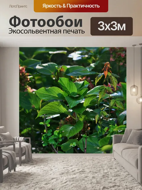 Фотообои свет на гортензии завода
