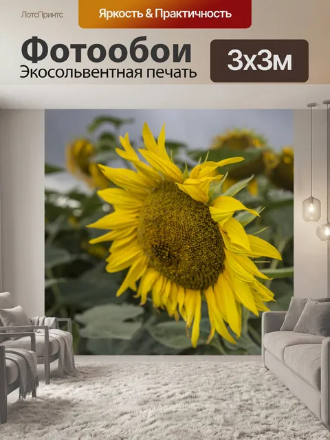 Фотообои Поле подсолнухов