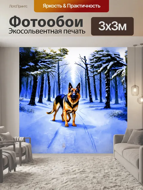 Фотообои зимний день