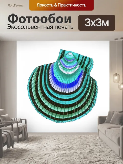 Фотообои Ракушка улитка винтажное искусство