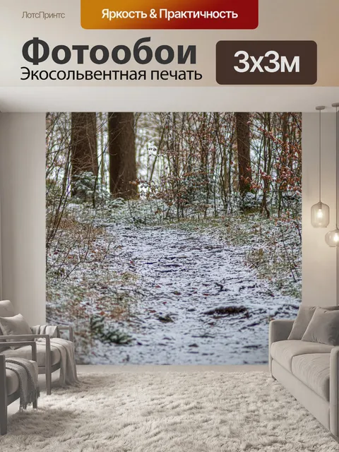 Фотообои Лес