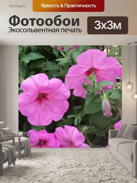 Фотообои Цветок
