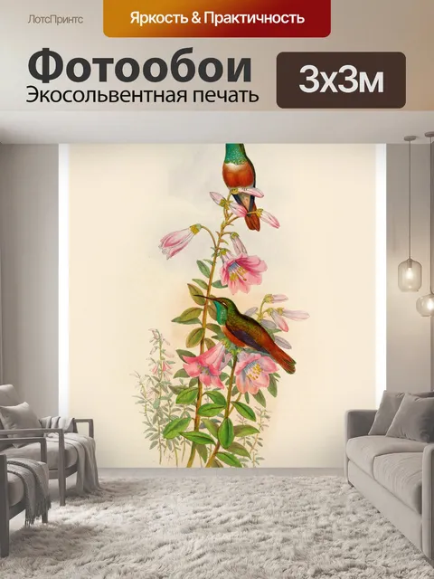 Фотообои Колибри птица винтаж старый