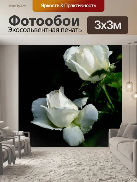 Фотообои Розы