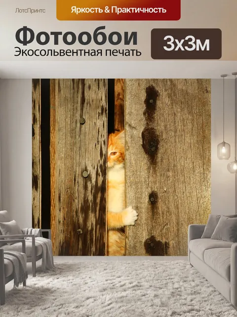 Фотообои Кот