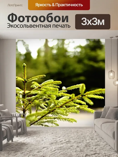 Фотообои Лес