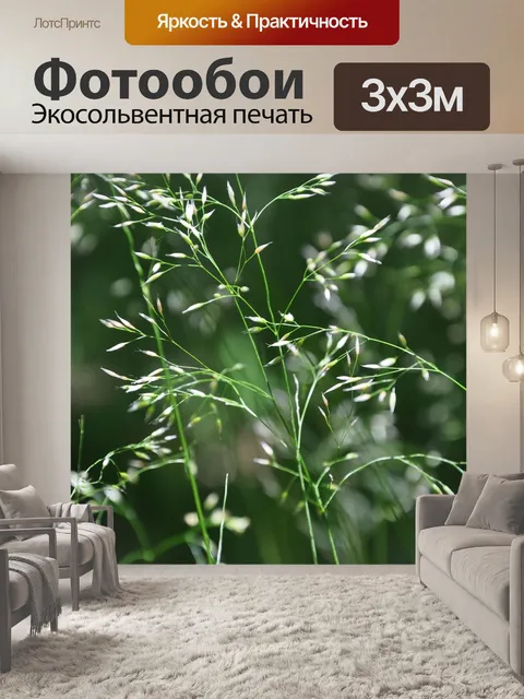 Фотообои Трава