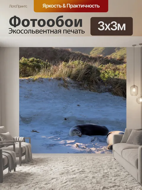 Фотообои Уплотнения