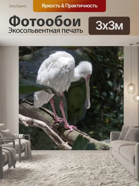 Фотообои Большая белая птица