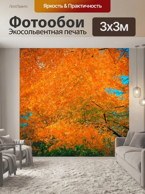 Фотообои оранжевый цвет