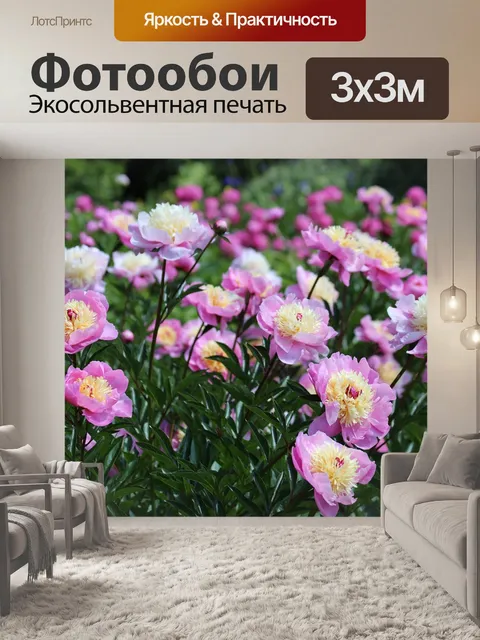Фотообои Пионы